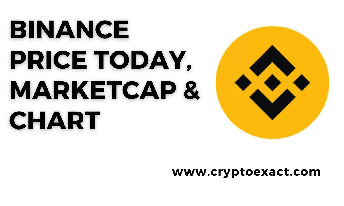 Binance price today, Binance live chart and marketcap ,Binance to USD live, Binance to USD Converter