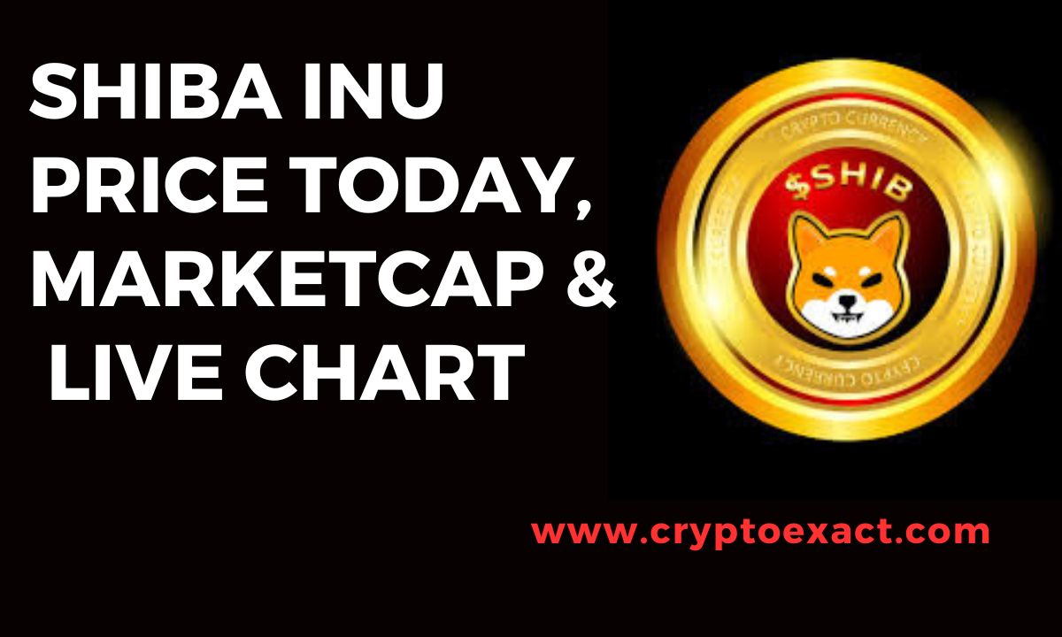 Shiba Inu price today, Shiba Inu live chart and marketcap ,Shiba Inu to USD live, Shiba Inu to USD Converter